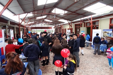 13 11 2015tugobiernoenterreno