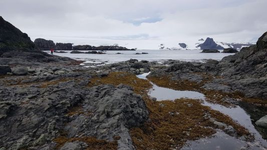 Científicos universitarios investigarán el impacto de la contaminación lumínica y el calentamiento global en la Antártica.
