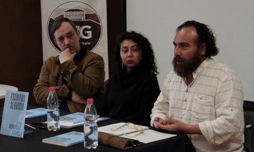 Publican libro que reúne escritos del artista Carlos Hermosilla.