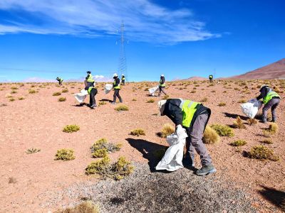 Día Nacional del Medio Ambiente: Dos factores que definen el avance sostenible.