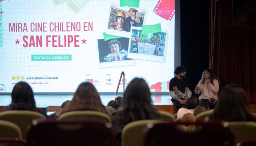“La misteriosa mirada del flamenco” llega a San Felipe para abrir un nuevo ciclo de cine chileno.
