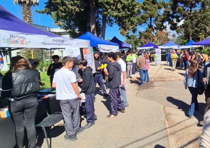Quillota realizó su primer Mercado de Bienestar para promover la salud mental.